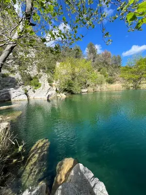 a view of a river with green water and trees at Suite Noire et Blanche in Saint-Paul-de-Fenouillet