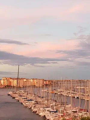 a bunch of boats docked in a harbor at gruissan la belle rive droite in Gruissan