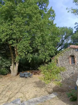 a picnic table and a bench next to a tree at Le Moulin de La Grave 450m2 in Lagrasse