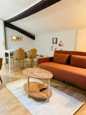 a living room with a couch and a table at Appartement Proche Place Soult l 2 CH in Castres