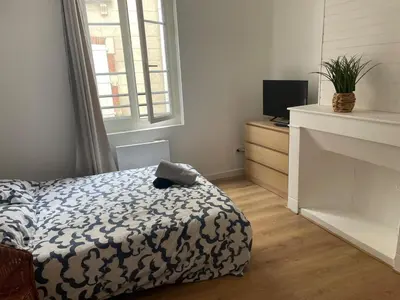 a bedroom with a bed and a television and a fireplace at Le Mi-Stud in Castres