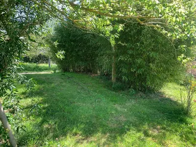 a row of trees in a field with grass at Roulotte et Nature in Mirepoix