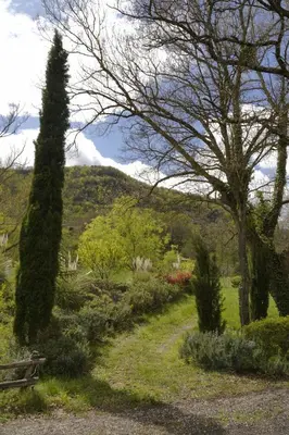 a park with a bench and a tree and bushes at Roulotte pour amoureux de la nature in Bugarach