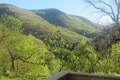 a view of a valley with trees and mountains at Maison Au Milieu De La Foret in Labastide-Rouairoux