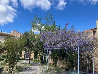 a garden with a purple tree with a blue sky at Chambre d'hôte Les Maisons de Gaïa in Tuchan