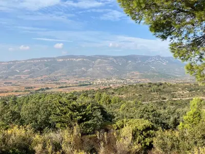 a view of a valley with mountains in the distance at Chambre d'hôte Les Maisons de Gaïa in Tuchan