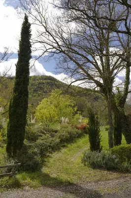 a park with a bench and a tree and bushes at Bus vintage pour retraite en solo à Bugarach in Bugarach