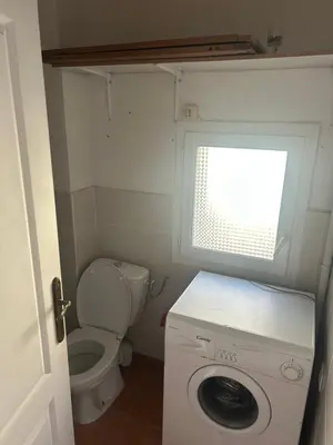 a small bathroom with a toilet and a washing machine at La forge in Laroque-de-Fa