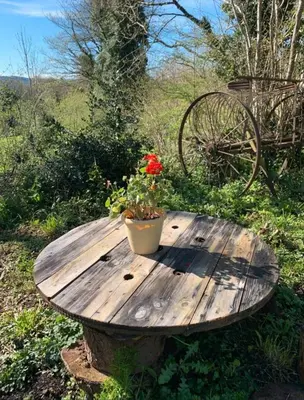 a wooden table with a pot of flowers on it at La petite maison dans le Sidobre in Fontrieu