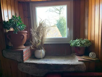 a window in a room with potted plants on it at La petite maison dans le Sidobre in Fontrieu