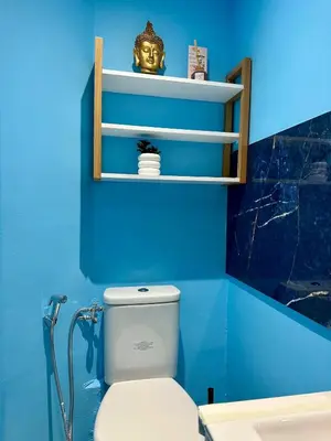 a blue bathroom with a toilet and a blue wall at Charmant Appartement - 2 chambres - Carcassonne Centre in Carcassonne
