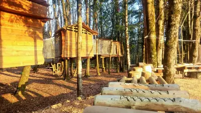 a group of logs and a cabin in the woods at Hébergement au Lac des Montagnès pour 5 personnes in Mazamet