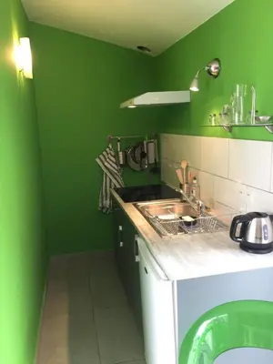 a green kitchen with a sink and a counter at Le studio perché in Carcassonne