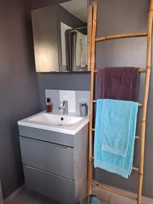 a bathroom with a sink and a towel on a ladder at Le studio perché in Carcassonne
