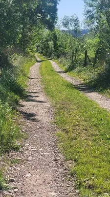 a dirt road with grass and trees on both sides at Le Clos des Oiseaux in Narbonne