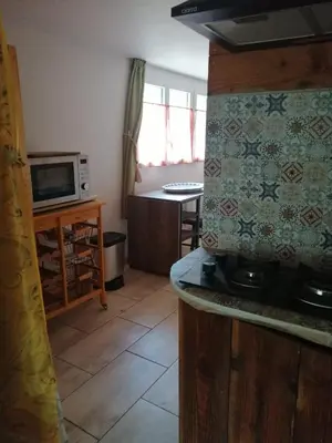 a kitchen with a stove and a microwave at La Succulente Vivace in Cambounès