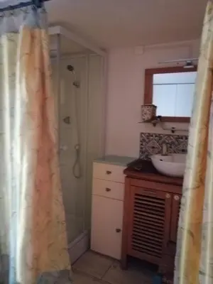 a bathroom with a shower and a sink and a sink at La Succulente Vivace in Cambounès