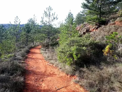 a red dirt road in the middle of a forest at Le Petit Coeur de Cassaignes in Cassaignes