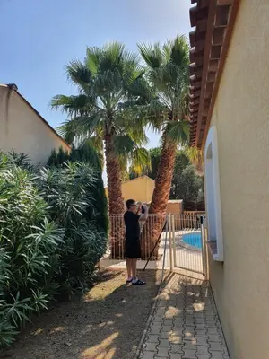 a man taking a picture of a palm tree at Villa de l Ode in Mirepeisset
