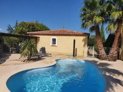 a swimming pool in front of a house with palm trees at Villa de l Ode in Mirepeisset