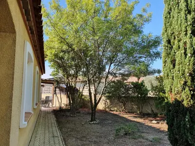 a tree in a yard next to a building at Villa de l Ode in Mirepeisset