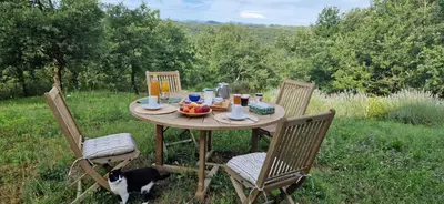 a table with a bowl of fruit and a cat sitting around it at Chambre confortable à la campagne in Dun