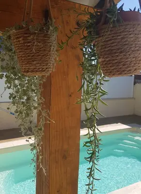 two baskets on a pole next to a swimming pool at Villa piscine privée in Capestang