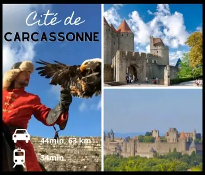 a collage of pictures of a castle and a man holding an eagle at Charmant T2 à 5min des plages in Port-la-Nouvelle