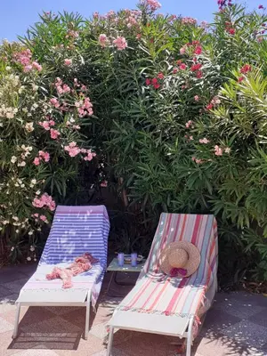 two beach chairs with a cat laying on them and a hat at Villa proche de la plage in Port-la-Nouvelle