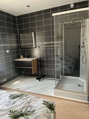 a bathroom with a shower and a sink at Appartement douzens in Douzens
