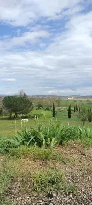 a green field with animals in the distance at Gîte Le Bellevue in Montels