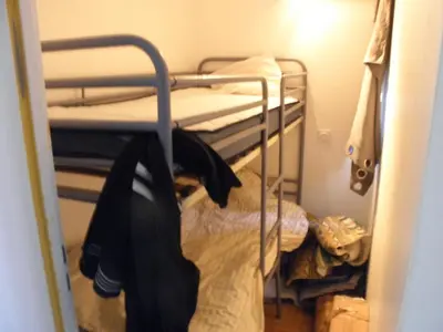 a bunk bed in a room with a closet at Appart RDC avec cour à 60 m plage du Grazel Gruissan in Gruissan