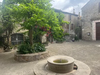 a stone courtyard with a tree and a fountain at La Nine in Aigne