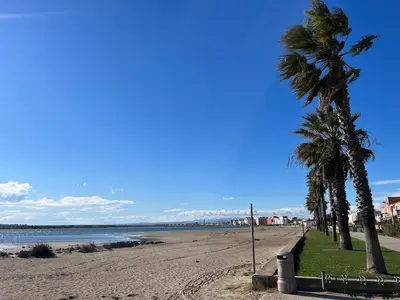 a beach with palm trees on a sunny day at Gruissan Plage Studio RDC avec Piscine Wifi Parking Clim in Gruissan