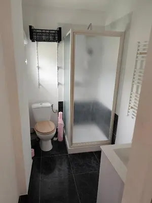 a bathroom with a shower and a toilet in it at Le coin de france in LʼAiguillon