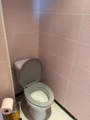 a bathroom with a toilet in a pink tiled wall at la saline in Peyriac-de-Mer