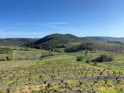 an open field with mountains in the background at Helena in Quintillan