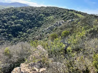 a view of a mountain with trees and rocks at Helena in Quintillan