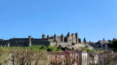 a castle on a hill with trees in the foreground at Studio cosy et spacieux in Carcassonne