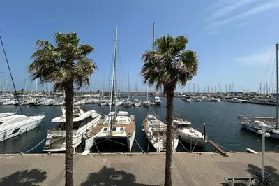 a group of boats docked in a marina with palm trees at Charming studio with sea view Gruissan in Gruissan