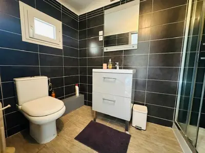 a bathroom with a toilet and a shower at Grand T2 50m2 Narbonne centre, vue sur cathédrale in Narbonne