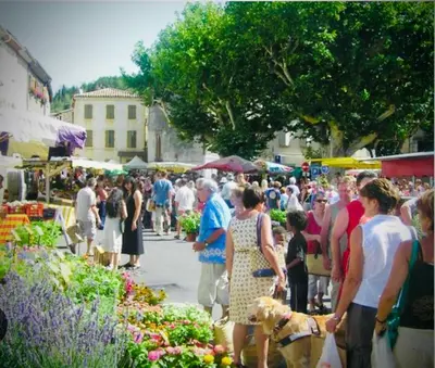 a crowd of people at an outdoor market with flowers at Maison de vacances familiale 4 chambres in Quillan