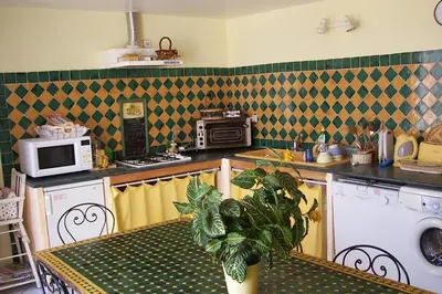 a kitchen with a table with a plant on it at Le Fenouillet Chambres D'hotes proche des Grands Buffets in Narbonne
