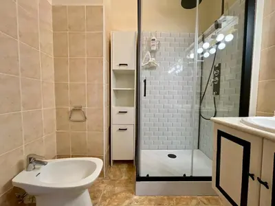 a bathroom with a toilet and a shower and a sink at Le Vintage des Oliviers - Vue Aude ascenseur et parking in Carcassonne