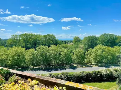 a view of a garden with trees and a road at Le Vintage des Oliviers - Vue Aude ascenseur et parking in Carcassonne