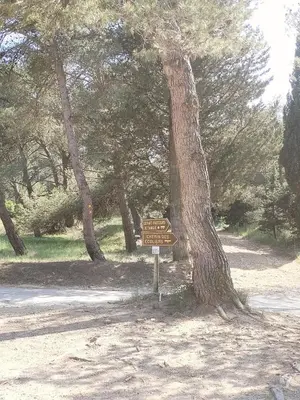 a sign in front of a tree in a park at Lumineuse villa au pied de la pinède in Lézignan-Corbières