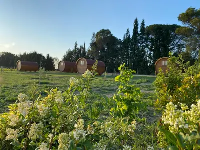 a field with hay bales in a field with flowers at Échappée Vigneronne in Pennautier
