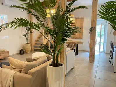 a living room with a couch and a palm tree at Villa de charme avec spa in Pamiers