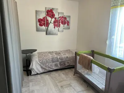 a bedroom with a bed with red flowers on the wall at Appartement vue château in Carcassonne