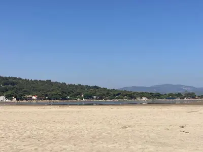 a sandy beach with trees in the background at La franqui , nouveau , Duplex pour 2 ou 3 ,piscine, mer ,soleil , station familiale in La Franqui-Plage